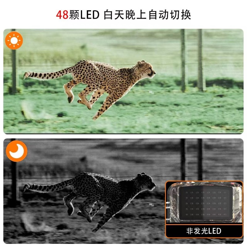 HOT SALE DL001 Hunting Camera  - Outdoor Sport Field 评论和价格